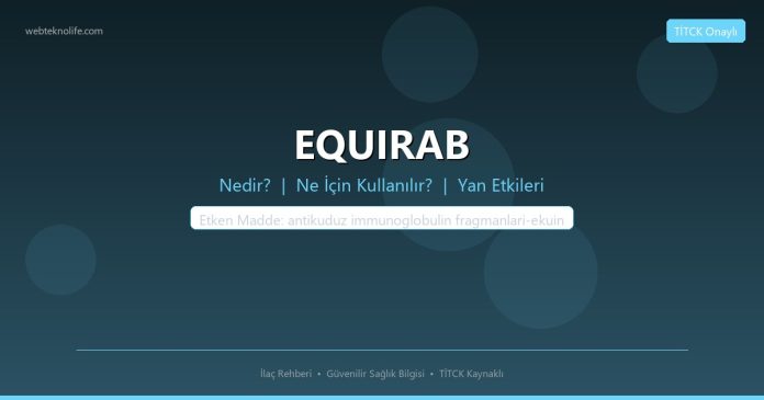 EQUIRAB nedir ne işe yarar - ilaç bilgisi
