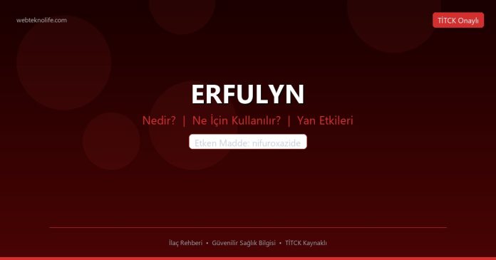 ERFULYN nedir ne işe yarar - ilaç bilgisi