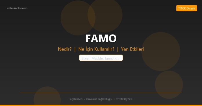 FAMO nedir ne işe yarar - ilaç bilgisi