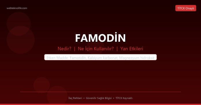 FAMODİN nedir ne işe yarar - ilaç bilgisi