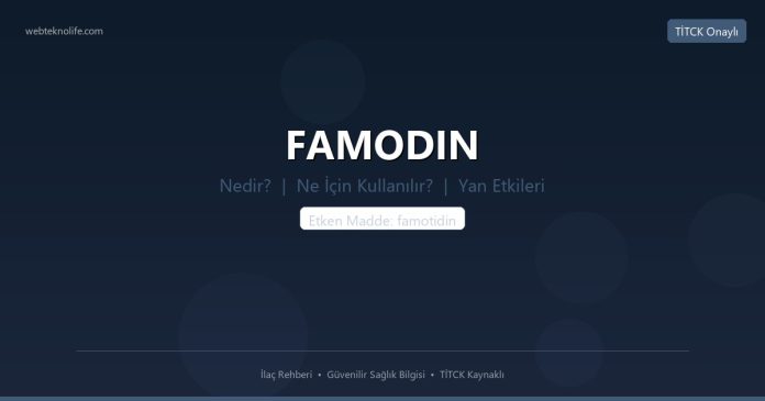 FAMODIN nedir ne işe yarar - ilaç bilgisi