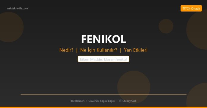 FENIKOL nedir ne işe yarar - ilaç bilgisi