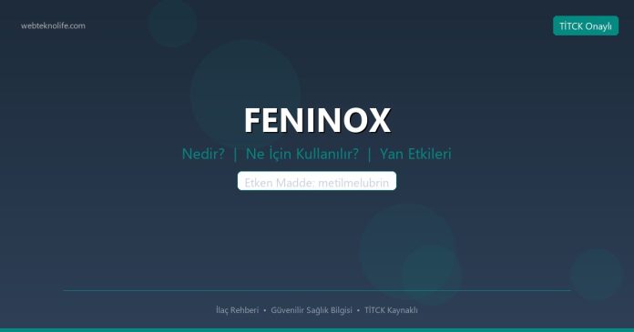 FENINOX nedir ne işe yarar - ilaç bilgisi