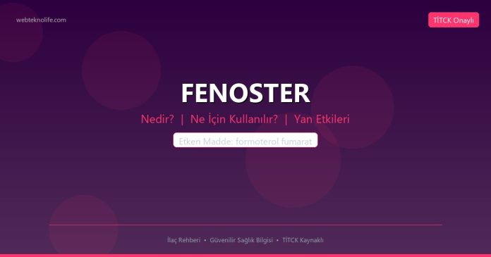 FENOSTER nedir ne işe yarar - ilaç bilgisi