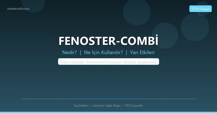 FENOSTER-COMBİ nedir ne işe yarar - ilaç bilgisi