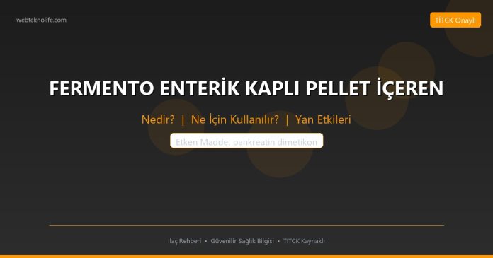 FERMENTO ENTERİK KAPLI PELLET İÇEREN nedir ne işe yarar - ilaç bilgisi