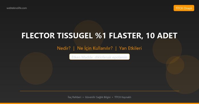 FLECTOR TISSUGEL %1 FLASTER, 10 ADET nedir ne işe yarar - ilaç bilgisi