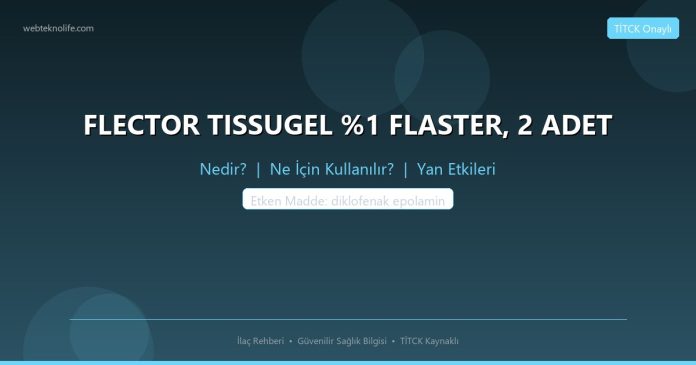FLECTOR TISSUGEL %1 FLASTER, 2 ADET nedir ne işe yarar - ilaç bilgisi