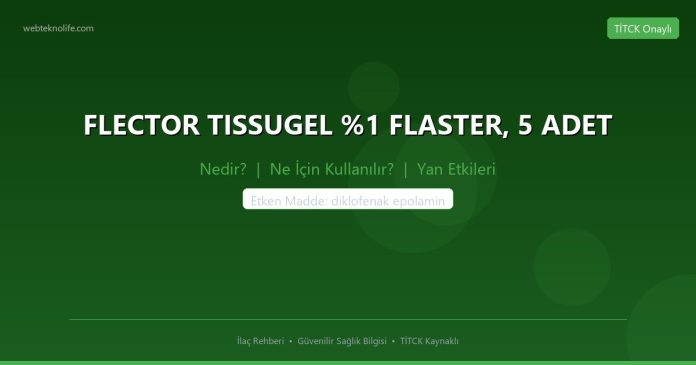 FLECTOR TISSUGEL %1 FLASTER, 5 ADET nedir ne işe yarar - ilaç bilgisi