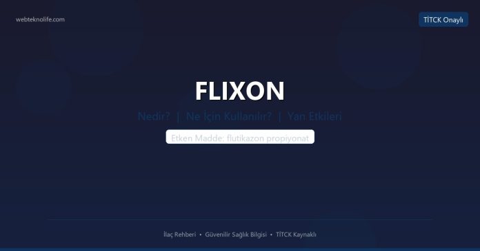 FLIXON nedir ne işe yarar - ilaç bilgisi