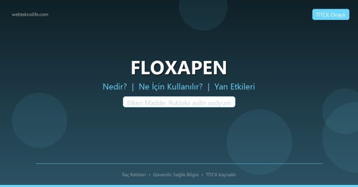 FLOXAPEN nedir ne işe yarar - ilaç bilgisi