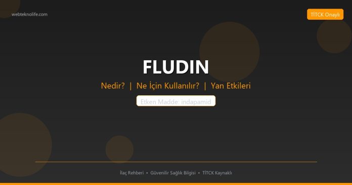 FLUDIN nedir ne işe yarar - ilaç bilgisi