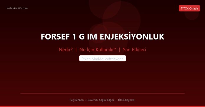 FORSEF 1 G IM ENJEKSİYONLUK nedir ne işe yarar - ilaç bilgisi