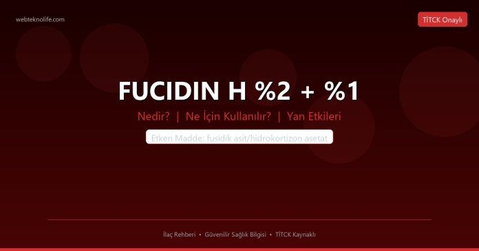 FUCIDIN H %2 + %1 nedir ne işe yarar - ilaç bilgisi