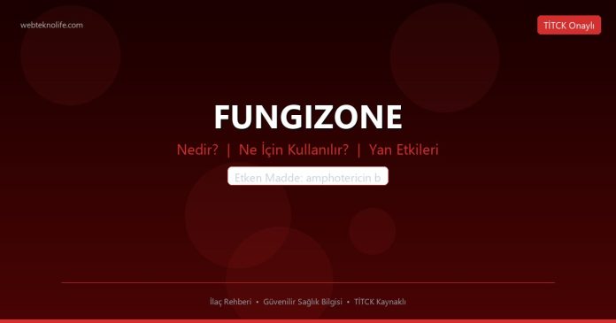 FUNGIZONE nedir ne işe yarar - ilaç bilgisi