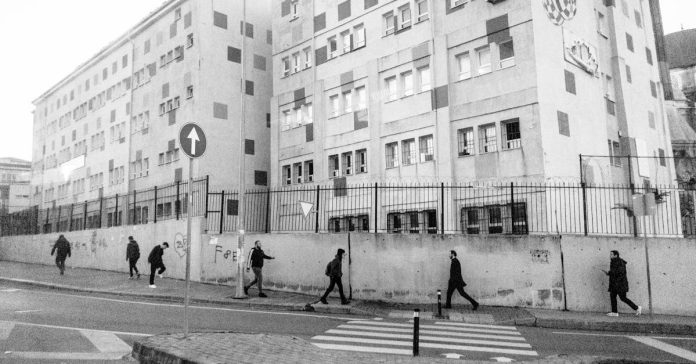 Furkan Kızılay İstanbul'dan Ayrıldı: Havuç'un Yeni Hayatı