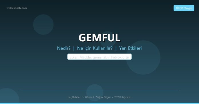 GEMFUL nedir ne işe yarar - ilaç bilgisi