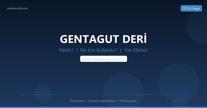 GENTAGUT DERİ nedir ne işe yarar - ilaç bilgisi