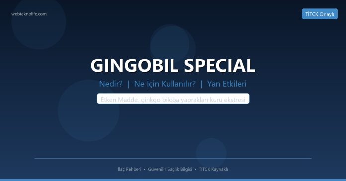 GINGOBIL SPECIAL nedir ne işe yarar - ilaç bilgisi
