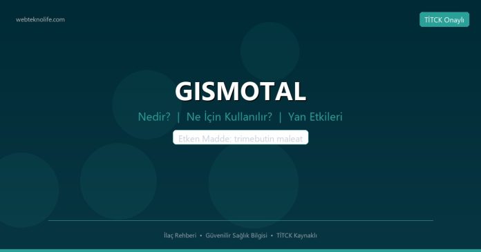 GISMOTAL nedir ne işe yarar - ilaç bilgisi