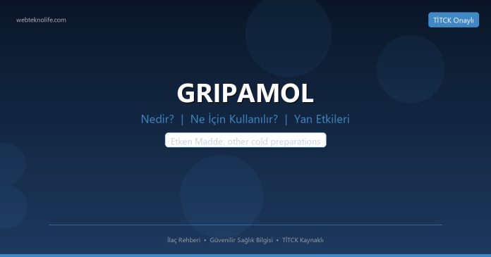 GRIPAMOL nedir ne işe yarar - ilaç bilgisi