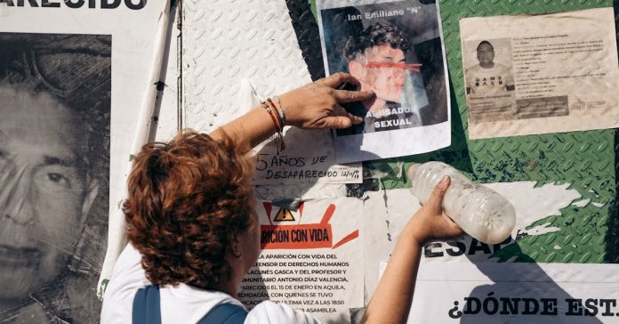 Güzellik Kraliçesi Cinayeti: Kayınvalide Şüpheli, Detaylar Kan Donduruyor