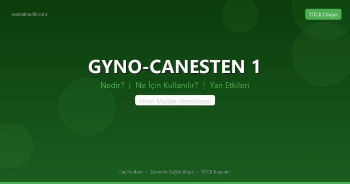 GYNO-CANESTEN 1 nedir ne işe yarar - ilaç bilgisi