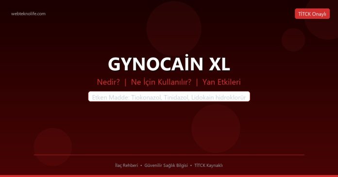 GYNOCAİN XL nedir ne işe yarar - ilaç bilgisi