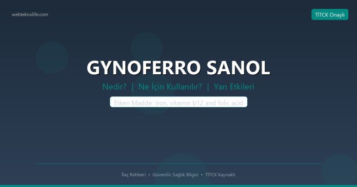 GYNOFERRO SANOL nedir ne işe yarar - ilaç bilgisi