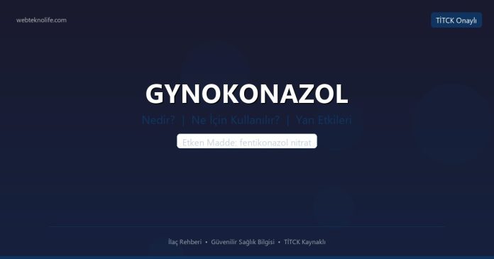 GYNOKONAZOL nedir ne işe yarar - ilaç bilgisi