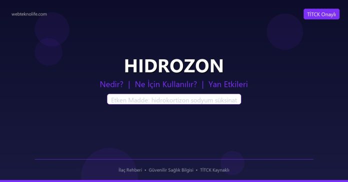 HIDROZON nedir ne işe yarar - ilaç bilgisi