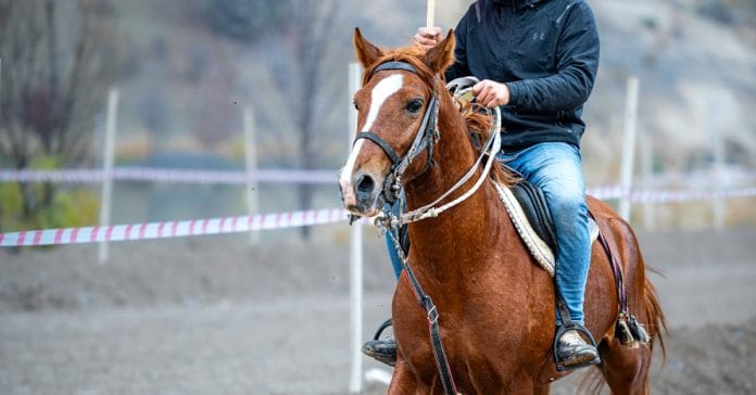 İçişleri Bakanlığı: Web Sitesi Gizliliği ve Erzurum Etkinliği