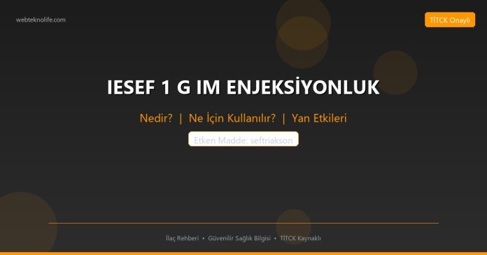 IESEF 1 G IM ENJEKSİYONLUK nedir ne işe yarar - ilaç bilgisi