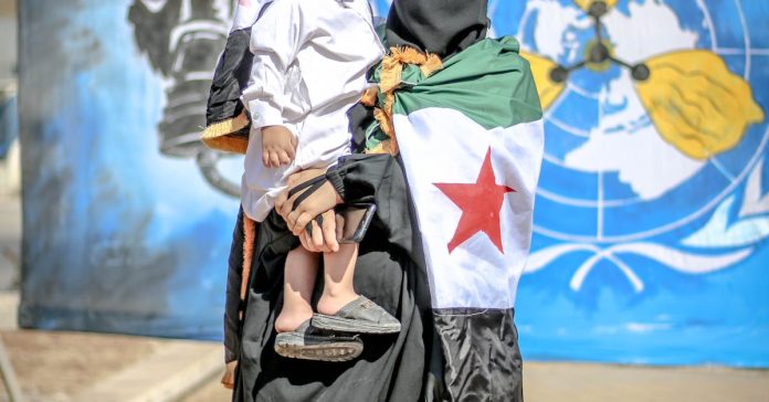 İsrail'in Sumud Filosu Saldırısı: Dünya Ayağa Kalktı