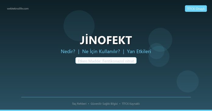 JİNOFEKT nedir ne işe yarar - ilaç bilgisi