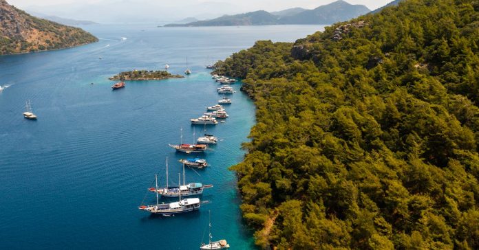 Manavgat Belediyesi: Güncel Gelişmeler ve Detaylı Analiz