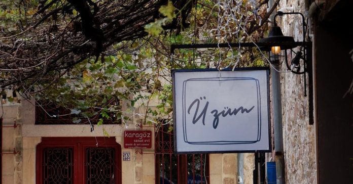 Uzak Şehir'in 58. bölümünde neler oldu? Geçmişin yükü Alya'nın om