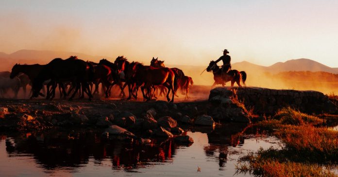 Vanadokya'da Atlı Jandarma Tipi Göz Kamaştırıyor