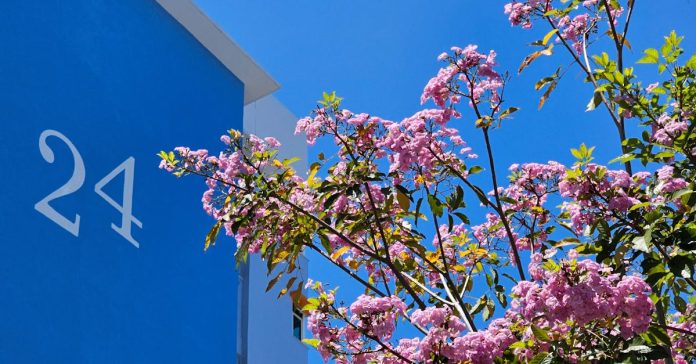 24 Mayıs'ta Ne Var? Tarihçe, Etkinlikler ve Bilinmeyenler