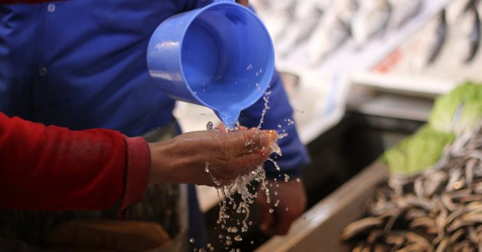 ABD-Çin Sığır Eti Anlaşması: Çiftçiye Hayvan Başına 165 Dolar Ek Gelir