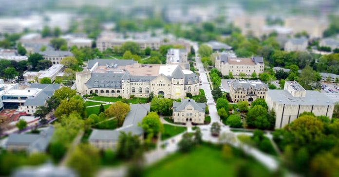 Ege Üniversitesi: Kampüs Hayatı, Fakülteler ve Güncel Haberler