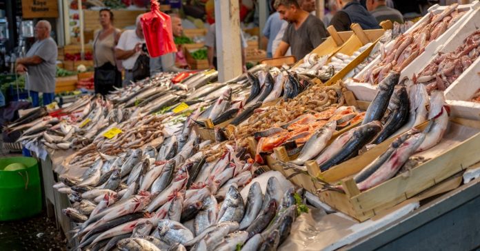 En Vitaminli Balıklar: Kardiyologdan Şaşırtan Liste