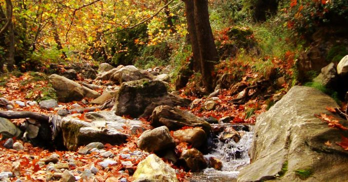 Letonya: Baltıklar'ın Saklı Hazinesi, Tarihi ve Güncel Durumu