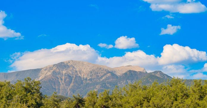 Mem Ararat'ın Yükselişi: Gündemden Tarihine Kapsamlı Rehber