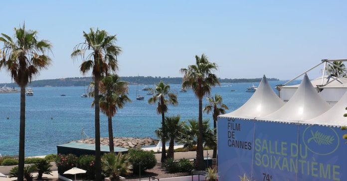 Özgü Namal Cannes'da: Türk Sinemasının Dünyadaki Yeri