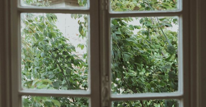 Pencereye Sabun Sürün: Yeni Bir Halk Sağlığı Efsanesi mi?