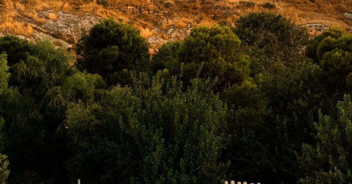 Şanlıurfa Hava Durumu: Güncel Tahminler ve Bilmeniz Gerekenler