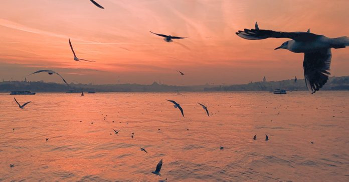 Sultanbeyli'de Neler Oluyor? Güncel Gelişmeler ve Detaylar
