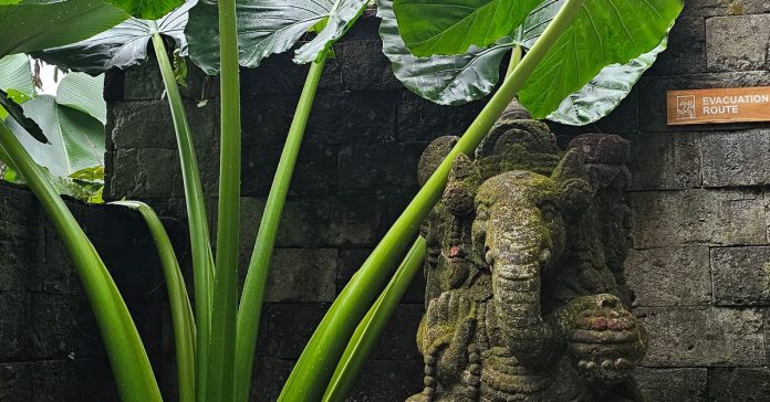Bali'de Tatil: Güncel Bilgiler, Maliyetler ve İpuçları