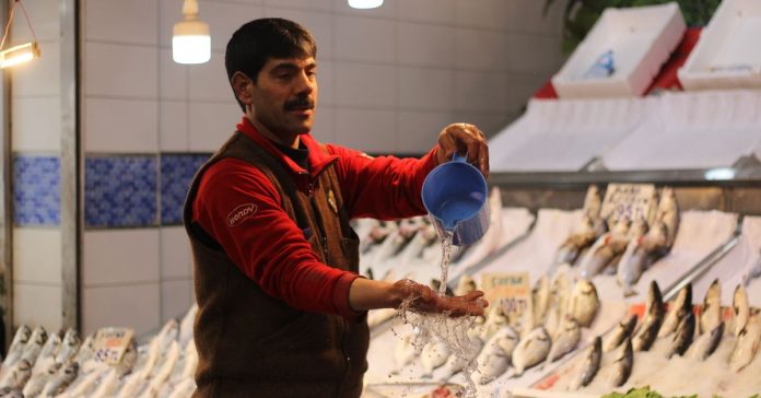 Balık Fiyatları 2024: Tükenen Hazine ve Bilinçli Tüketim Rehberi